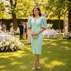 VESTIDO DE FIESTA LUISA NALA 8593 - Imagen 1